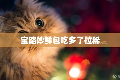 寶路妙鮮包吃多了拉稀