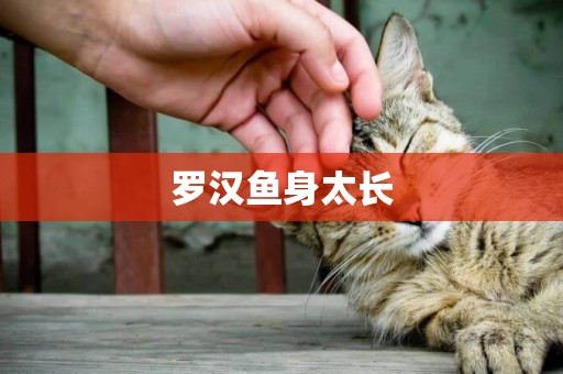羅漢魚身太長