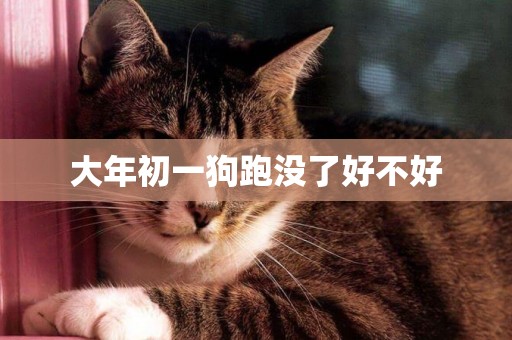 大年初一狗跑沒了好不好