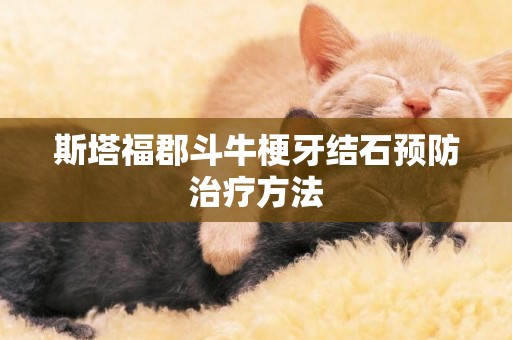 斯塔福郡斗牛梗牙結石預防治療方法