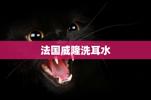 法國威隆洗耳水