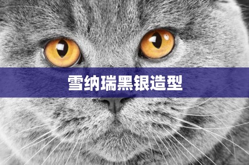 雪納瑞黑銀造型