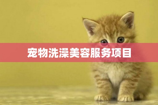 寵物洗澡美容服務項目
