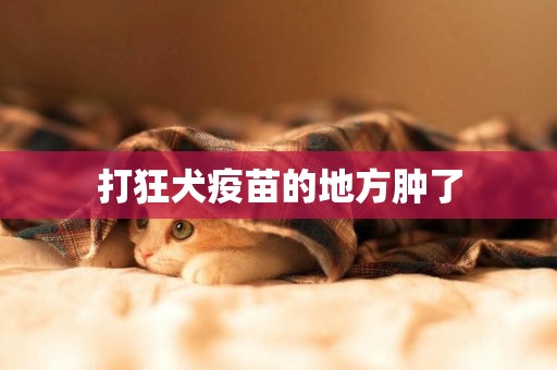 打狂犬疫苗的地方腫了