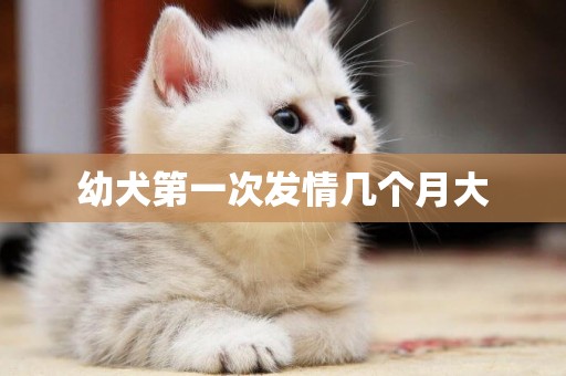 幼犬第一次發情幾個月大