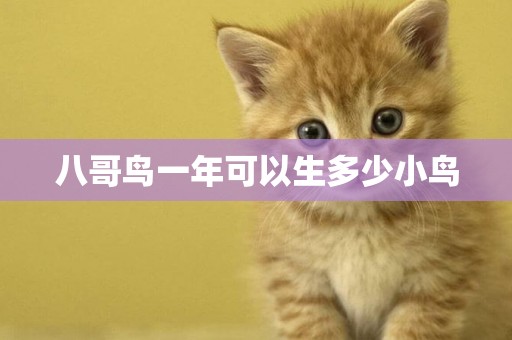 八哥鳥一年可以生多少小鳥