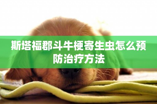 斯塔福郡斗牛梗寄生蟲怎么預防治療方法