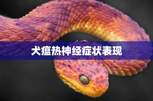 犬瘟熱神經癥狀表現