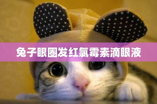 兔子眼圈發紅氯霉素滴眼液