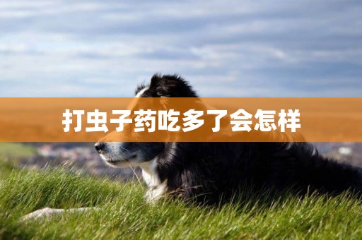 打蟲子藥吃多了會怎樣