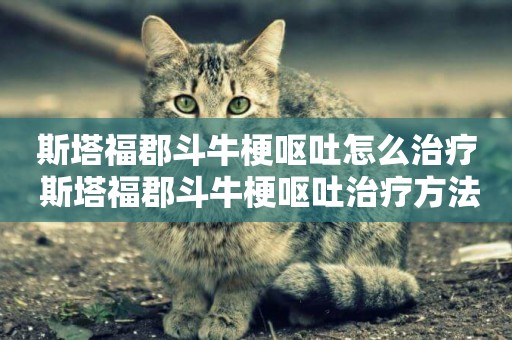 斯塔福郡斗牛梗嘔吐怎么治療 斯塔福郡斗牛梗嘔吐治療方法