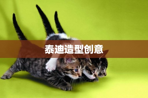 泰迪造型創意