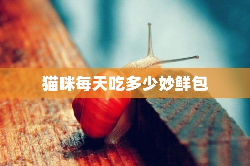 貓咪每天吃多少妙鮮包