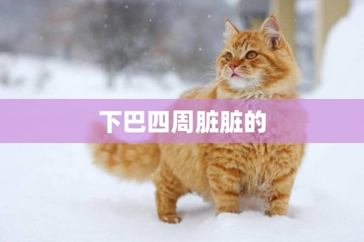 下巴四周臟臟的