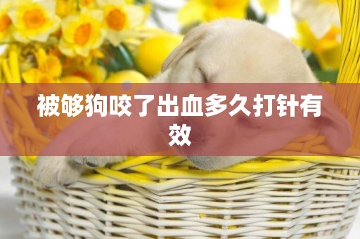 被夠狗咬了出血多久打針有效
