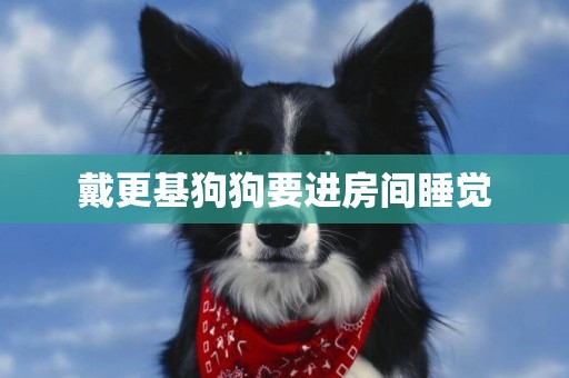 戴更基狗狗要進房間睡覺