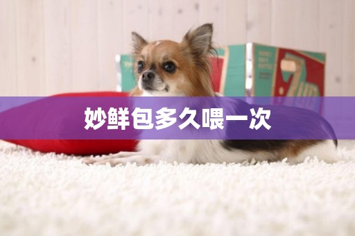 妙鮮包多久喂一次