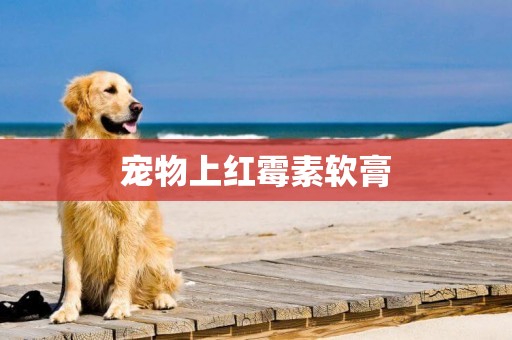 寵物上紅霉素軟膏