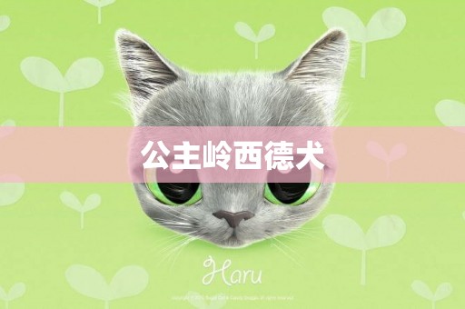 公主嶺西德犬