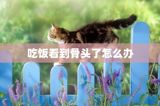 吃飯看到骨頭了怎么辦