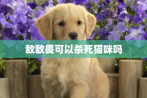 敵敵畏可以殺死貓咪嗎
