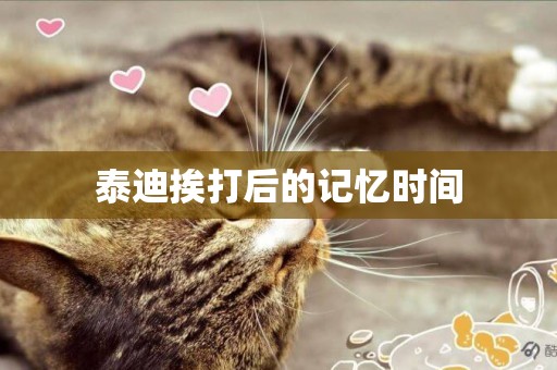 泰迪挨打后的記憶時間