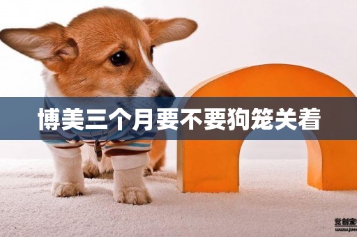 博美三個月要不要狗籠關著
