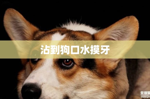 沾到狗口水摸牙