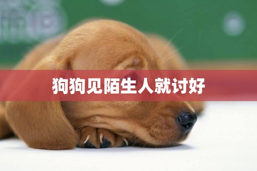 狗狗見陌生人就討好