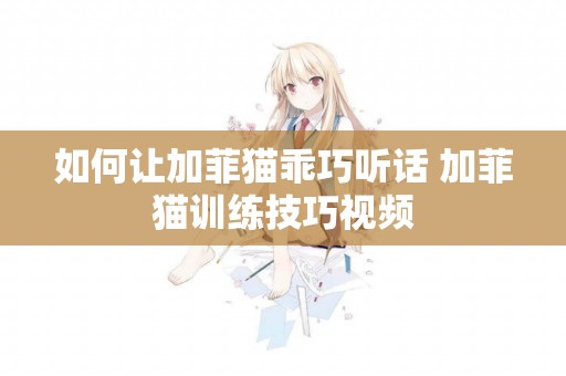 如何讓加菲貓乖巧聽話 加菲貓訓練技巧視頻