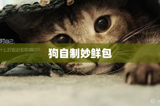 狗自制妙鮮包