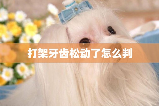 打架牙齒松動了怎么判