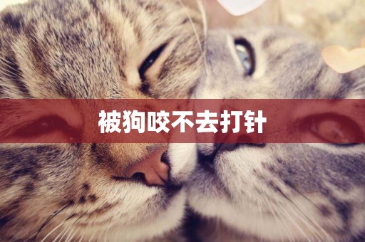 被狗咬不去打針