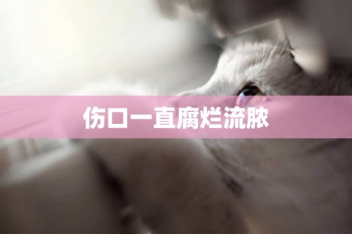 傷口一直腐爛流膿