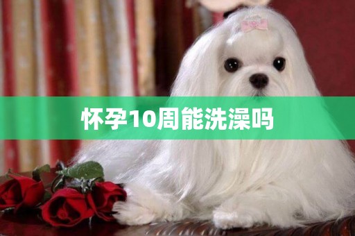 懷孕10周能洗澡嗎