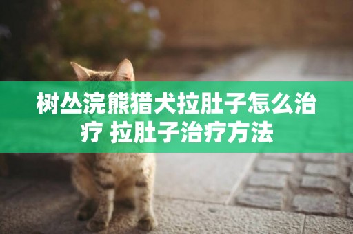 樹叢浣熊獵犬拉肚子怎么治療 拉肚子治療方法