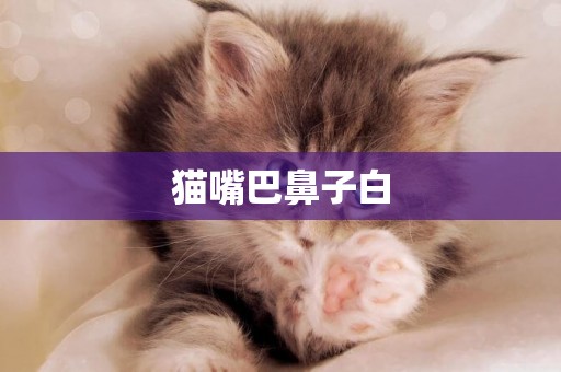 貓嘴巴鼻子白