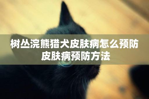 樹叢浣熊獵犬皮膚病怎么預防 皮膚病預防方法