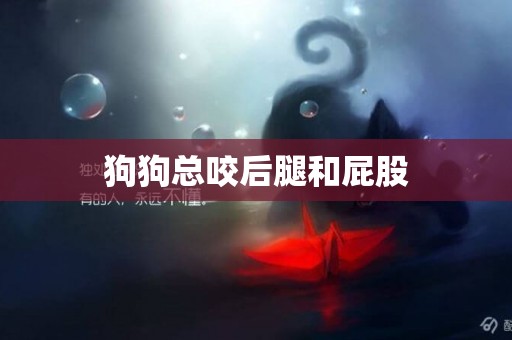 狗狗總咬后腿和屁股