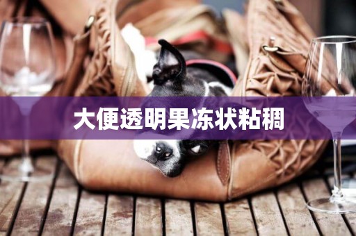 大便透明果凍狀粘稠