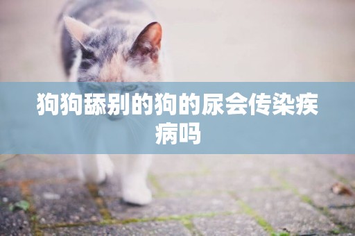 狗狗舔別的狗的尿會傳染疾病嗎