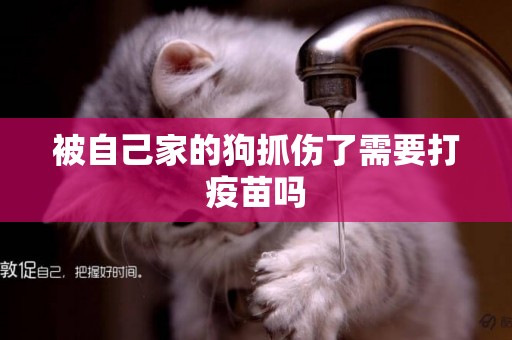 被自己家的狗抓傷了需要打疫苗嗎