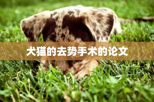 犬貓的去勢手術的論文