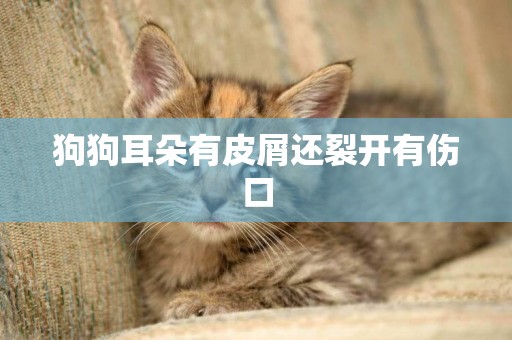 狗狗耳朵有皮屑還裂開有傷口