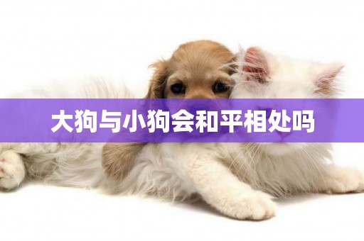 大狗與小狗會和平相處嗎
