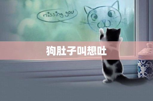 狗肚子叫想吐