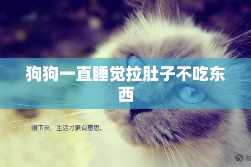 狗狗一直睡覺拉肚子不吃東西