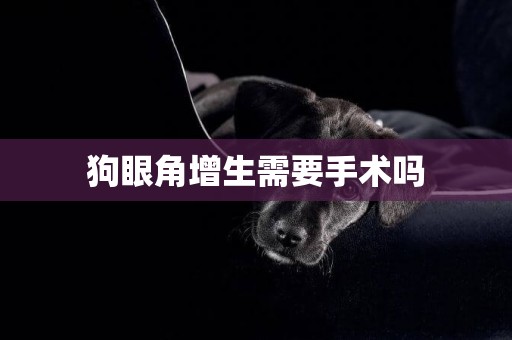 狗眼角增生需要手術嗎