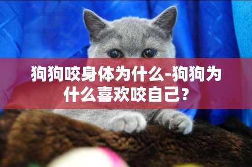 狗狗咬身體為什么-狗狗為什么喜歡咬自己？
