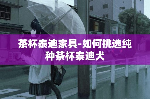 茶杯泰迪家具-如何挑選純種茶杯泰迪犬